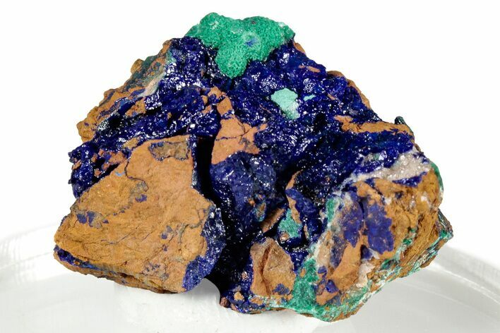 Green Malachite with Sparkling Azurite - Congo-Brazzaville #326863